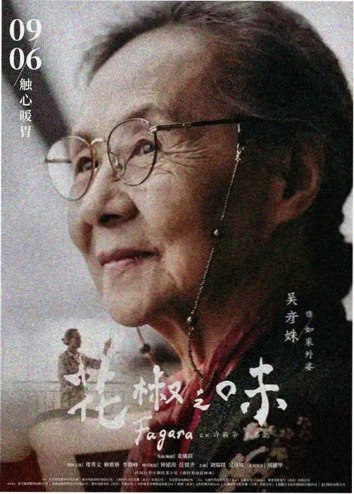 青瓷记器物人文国漫免费在线看