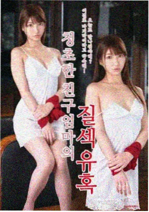 编剧的夏天职场剧免费在线看